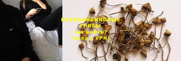 трава Армянск