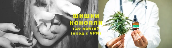 PSILOCYBIN Балабаново