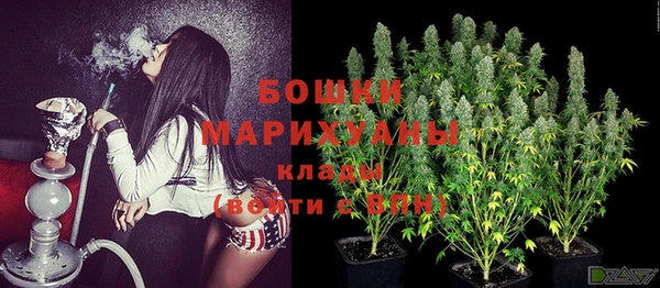 винт Баксан