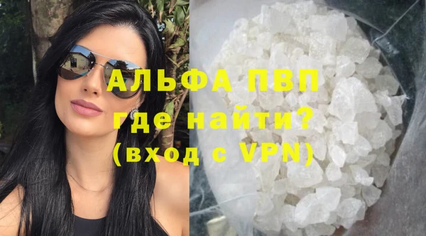 PSILOCYBIN Балабаново