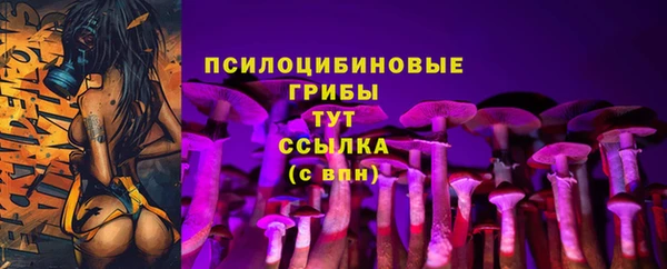ешки Приозерск