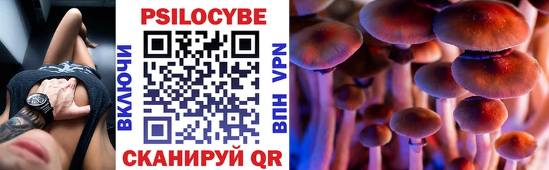 площадка состав  hydra ссылка  Михайловка  Псилоцибиновые грибы прущие грибы 